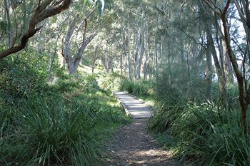 The Edgewater Bed & Breakfast - Surfers Paradise Gold Coast 21