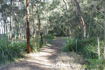 The Edgewater Bed & Breakfast - Surfers Paradise Gold Coast 22
