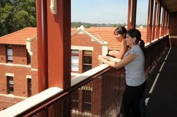 Yarra House Campus Summer Stays - Surfers Paradise Gold Coast 5