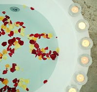 Avoca Valley Bed amp Breakfast - Surfers Paradise Gold Coast