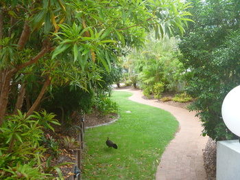 Chez Noosa Resort Motel - Surfers Paradise Gold Coast 21