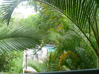 Chez Noosa Resort Motel - Surfers Paradise Gold Coast 29