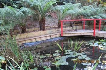 Cherryblossom B&B - Surfers Paradise Gold Coast 7
