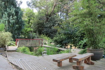 Cherryblossom B&B - Surfers Paradise Gold Coast 21