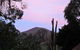 Cherryblossom B&B - thumb 35