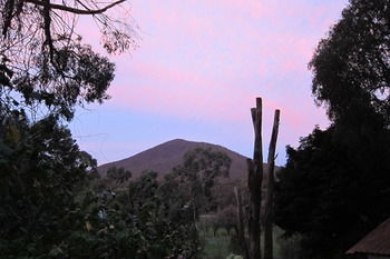Cherryblossom B&B - Surfers Paradise Gold Coast 35