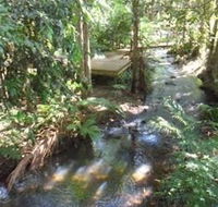 Treetops Accommodation Montville - Surfers Paradise Gold Coast