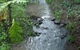 Treetops Accommodation Montville - thumb 4