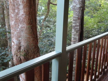 Treetops Accommodation Montville - Surfers Paradise Gold Coast 9