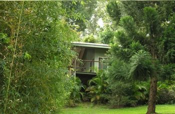 Treetops Accommodation Montville - Surfers Paradise Gold Coast 13