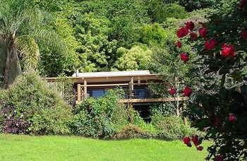 Treetops Accommodation Montville - Surfers Paradise Gold Coast 14