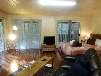 Treetops Accommodation Montville - Surfers Paradise Gold Coast 19