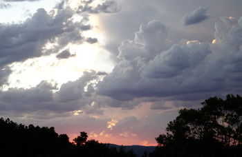 Treetops Accommodation Montville - Surfers Paradise Gold Coast 26