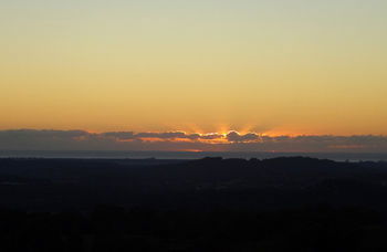 Treetops Accommodation Montville - Surfers Paradise Gold Coast 29