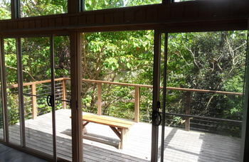Treetops Accommodation Montville - Surfers Paradise Gold Coast 51
