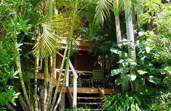 Treetops Accommodation Montville - Surfers Paradise Gold Coast 54