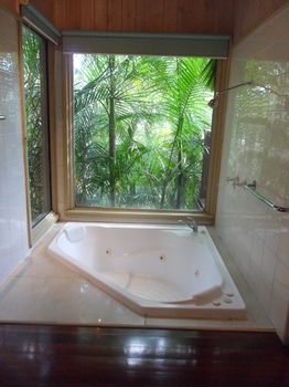 Treetops Accommodation Montville - Surfers Paradise Gold Coast 84