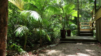 Treetops Accommodation Montville - Surfers Paradise Gold Coast 89