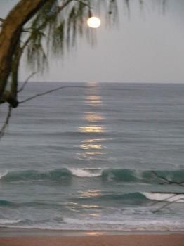 Andari - Surfers Paradise Gold Coast 2