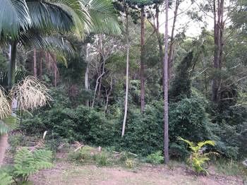 Mapleton Cabins & Caravan Park - Surfers Paradise Gold Coast 27