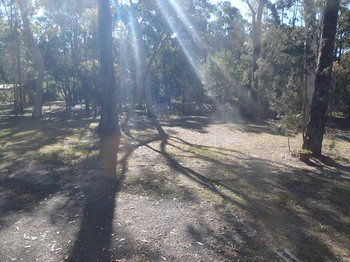 Woollamia Village Retreat - Surfers Paradise Gold Coast 43