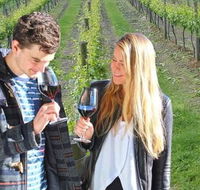 Valley Farm Vineyard Cottages - Surfers Paradise Gold Coast