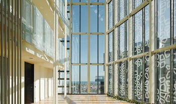 D'One Luxury Apartments - Surfers Paradise Gold Coast 12