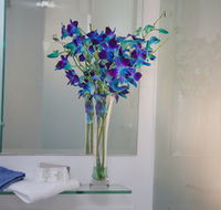 Grand Hotel Wyong - Surfers Paradise Gold Coast