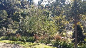 Copeland Cabins - Surfers Paradise Gold Coast 2