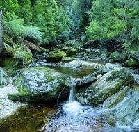 Tarkine Wilderness Experience at Corinna - Surfers Paradise Gold Coast