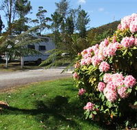 Zeehan Bush Camp  and Caravan Park - Surfers Paradise Gold Coast