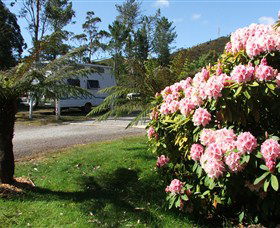 Zeehan Bush Camp  And Caravan Park - Surfers Paradise Gold Coast 0