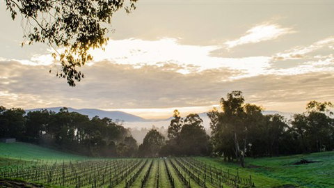 Ainsworth Estate - Surfers Paradise Gold Coast 1