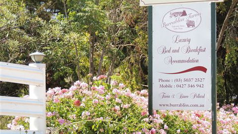 Burrabliss Bed And Breakfast - Surfers Paradise Gold Coast 6