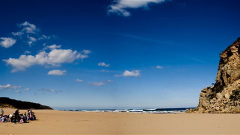 Kangaroobie - Surfers Paradise Gold Coast 5