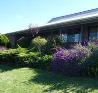 Boomers Guest House Hamilton - Surfers Paradise Gold Coast