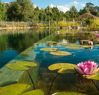 Planetrees Estate  - Surfers Paradise Gold Coast