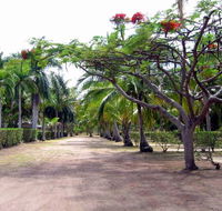 Alva Beach Tourist Park - Surfers Paradise Gold Coast