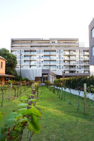 B7 Honeysuckle Apartments - Surfers Paradise Gold Coast 1