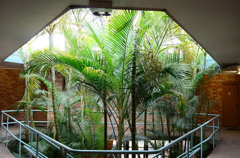 Motel 10 - Surfers Paradise Gold Coast 4