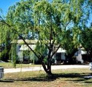 Blue Topaz Caravan Park  Camping Ground - Surfers Paradise Gold Coast