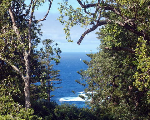 Bucks Point House - Surfers Paradise Gold Coast 3