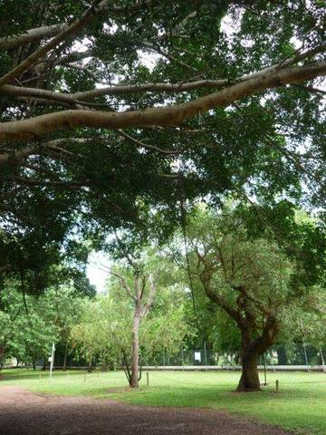 Discovery Holiday Parks - Darwin - Surfers Paradise Gold Coast 10