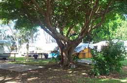 Donnybrook Caravan Park - Surfers Paradise Gold Coast 1
