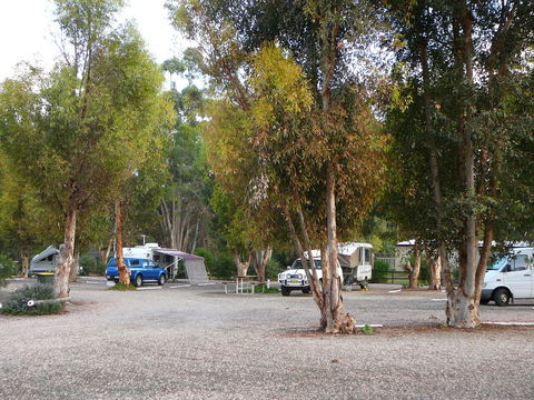 Gladstone Caravan Park - Surfers Paradise Gold Coast 3
