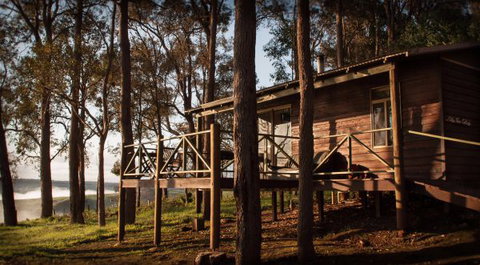 Balingup Heights Hilltop Forest Cottages - Surfers Paradise Gold Coast 6