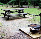 Bellbird campground - Surfers Paradise Gold Coast