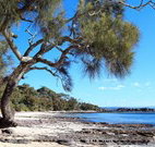 Currarong Beachside Holiday Park - Surfers Paradise Gold Coast
