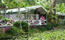 Darlington Beach NRMA Holiday Park - Surfers Paradise Gold Coast 4