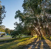 Delicate campground - Surfers Paradise Gold Coast
